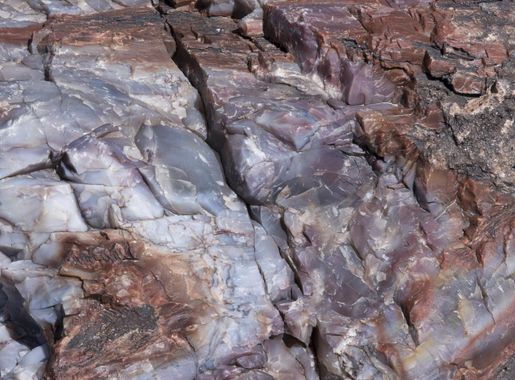 File:Petrified Forest National Park - Crystal Forest - Petrified wood  closeup.jpg - Wikimedia Commons