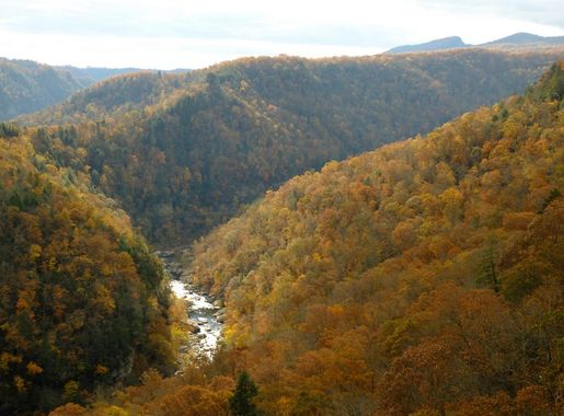 File:Breaks Canyon Fall.jpg - Wikimedia Commons