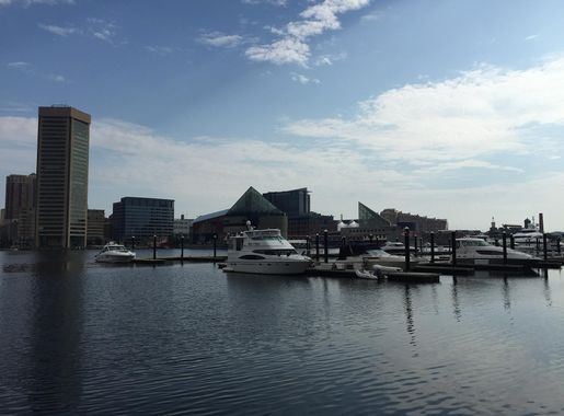 File:2016-07-27 09 21 02 View north-northeast across the Inner Harbor from  the Baltimore Science Center in Baltimore City, Maryland.jpg - Wikimedia  Commons