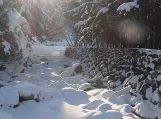 National Parks of Korea: Deogyusan > Osan Air Base > Article Display