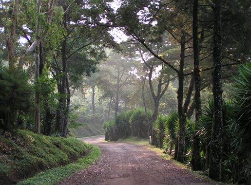 Archivo:Selvanegraentrance.JPG - Wikipedia, la enciclopedia libre