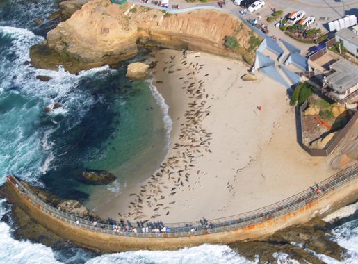 File:LaJollaChildrensPoolByPhilKonstantin.jpg - Wikimedia Commons