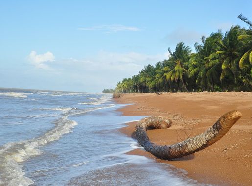 File:Shell Beach - panoramio (5).jpg - Wikimedia Commons
