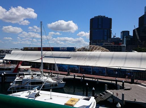File:Sydney Aquarium Sea Life.jpg - Wikipedia