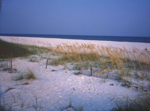 Free picture: scenic, coastline, santa, rosa, island, dunes, grasses,  fence, foreground