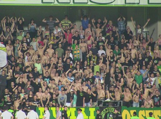File:Fanii FC Zimbru Chisinau.JPG - Wikimedia Commons