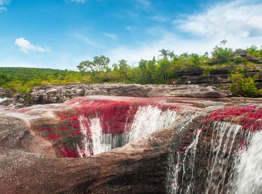 Archivo:CAÑO CRISTALES, SECTOR LOS OCHOS (COLOMBIA).jpg - Wikipedia, la  enciclopedia libre