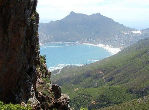 Free Vectors, PNGs, Mockups & Backgrounds | rawpixel