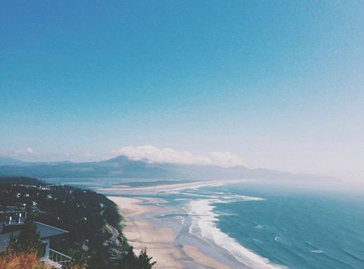 View Newport sand beach palm | Free Photo - rawpixel