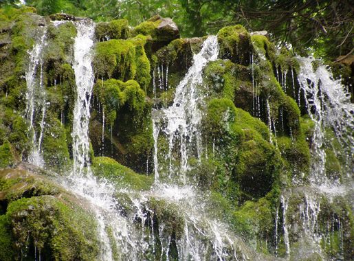 File:Forillon National Park of Canada 8.jpg - Wikimedia Commons