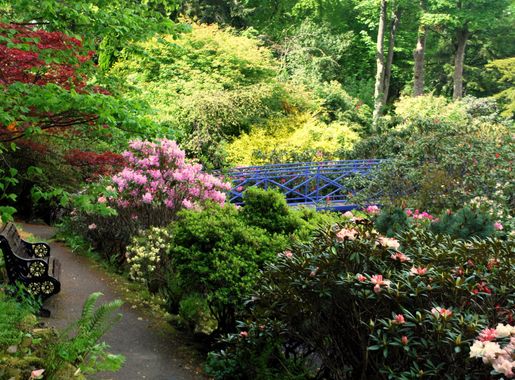 File:Johnston Gardens, aberdeen, UK.JPG - Wikimedia Commons