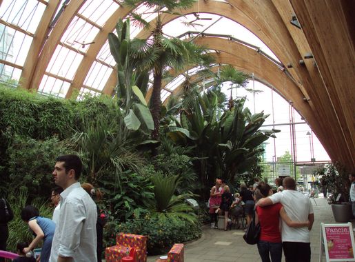 File:Sheffield Winter Garden - DSC07485.JPG - Wikimedia Commons