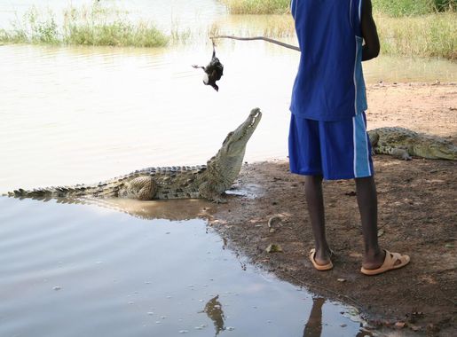 File:Bazoule sacred crocodiles MS 6703.JPG - Wikimedia Commons