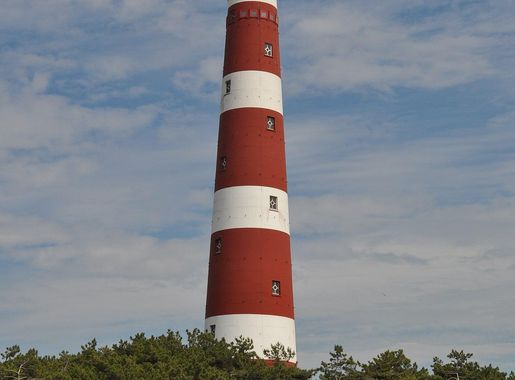 File:Ameland - Bornrif.JPG - Wikimedia Commons