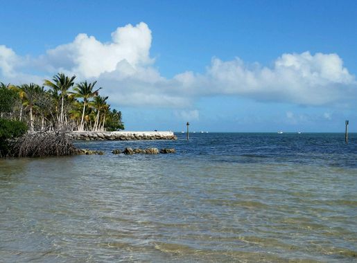 File:Curry Hammock State Park view.jpg - Wikimedia Commons