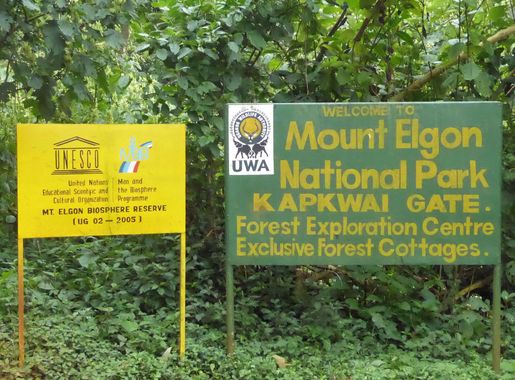 File:Mount Elgon NP.jpg - Wikimedia Commons