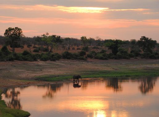 File:Sunset and elephant in Chobe NP - Botswana - panoramio.jpg - Wikimedia  Commons