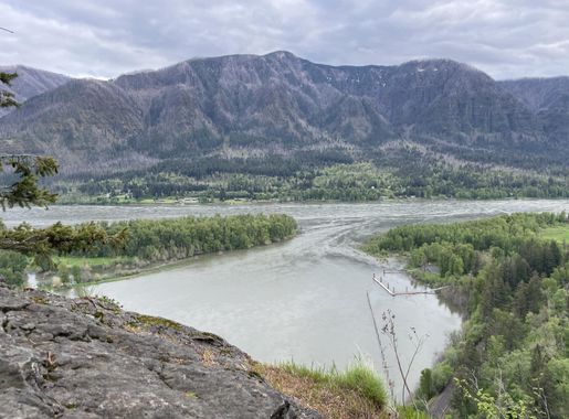 File:2023-05-06, Beacon Rock Trail, 029.jpg - Wikimedia Commons