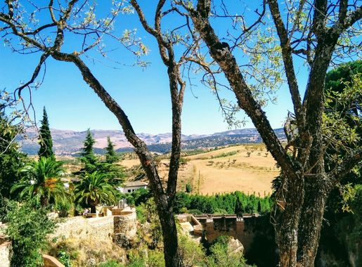 Archivo:Jardines de Cuenca, Ronda, Andalucia (48794584017).jpg - Wikipedia,  la enciclopedia libre