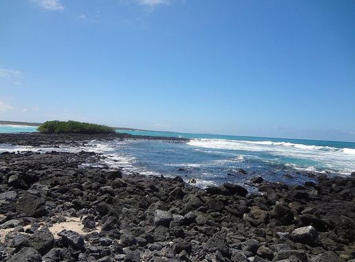 File:Santa Cruz Island. volcanic rocks Pacific Ocean Tortuga Bay,  Galapagos.JPG - Wikimedia Commons