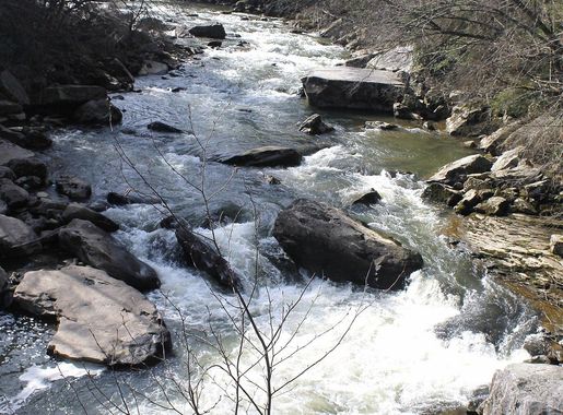File:Swallow Falls State Park 20.JPG - Wikimedia Commons