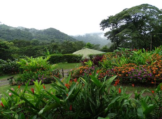 File:Finca Esperanza Verde - Near Matagalpa - Nicaragua - 01  (31482157232).jpg - Wikimedia Commons
