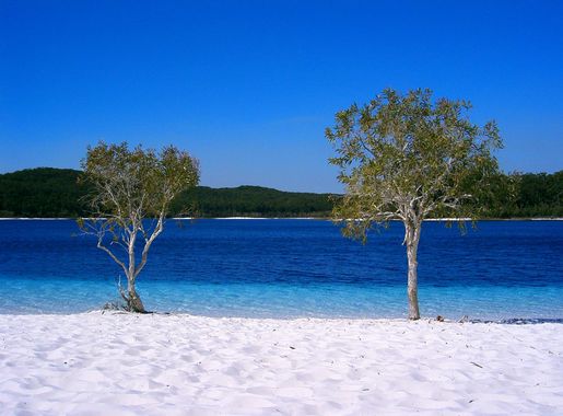 File:Fraser Island a06 lake mckenzie.jpg - Wikimedia Commons