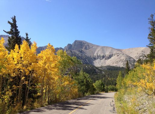 File:2014-09-15 10 35 55 View of Wheeler Peak and Aspens during autumnal  foliage color change from Wheeler Peak Scenic Drive in Great Basin National  Park, Nevada.JPG - Wikimedia Commons