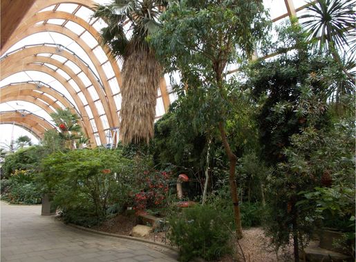 File:Sheffield Winter Garden - inside.jpg - Wikimedia Commons