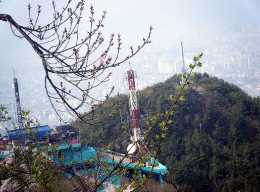 파일:Daegu Apsan Park Tower IN.jpg - 위키백과, 우리 모두의 백과사전