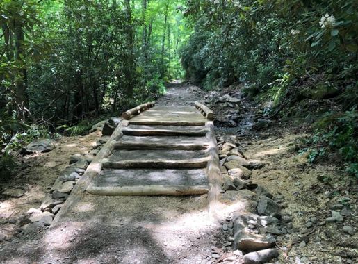 Big Creek Trail reopens to the public - Great Smoky Mountains National Park  (U.S. National Park Service)