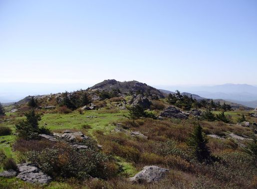 File:2017-05-16 09 55 15 View southeast down Wilburn Ridge from the summit  of Pine Mountain within the Mount Rogers National Recreation Area in  Grayson County, Virginia.jpg - Wikimedia Commons