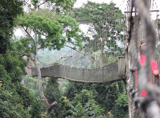 File:Kakum Canopy Walk, Kakum National Park, Ghana.JPG - Wikimedia Commons