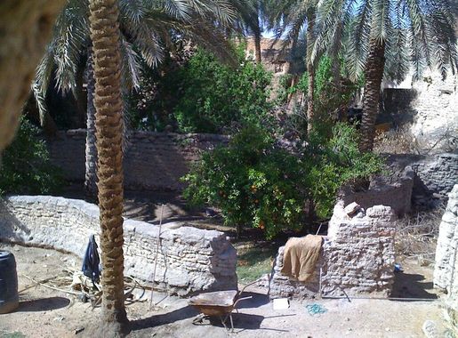 File:Libya Ghadames Old Town Fruit Trees.JPG - Wikimedia Commons
