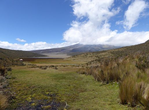 File:Cotopaxi Nationalpark Ecuador123.JPG - Wikimedia Commons