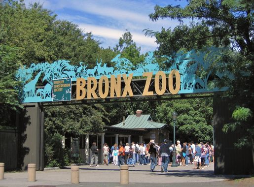 File:Bronx Zoo 001.jpg - Wikipedia