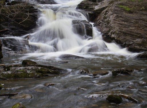 Waterfall Forest Stream | Free Photo - rawpixel