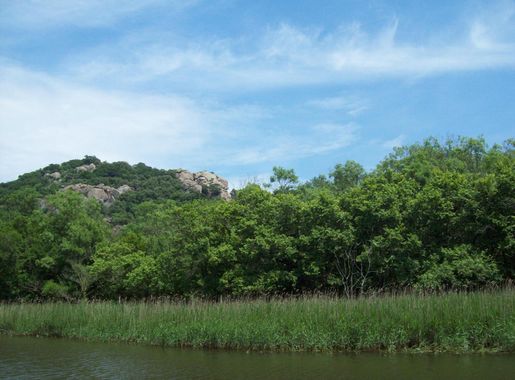 File:Bulgaria, Lions head by Ropotamo river - panoramio.jpg - Wikimedia  Commons
