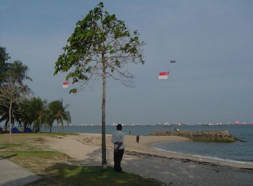 File:Beach at East Coast Park, Singapore - 20050809-02.jpg - Wikimedia  Commons