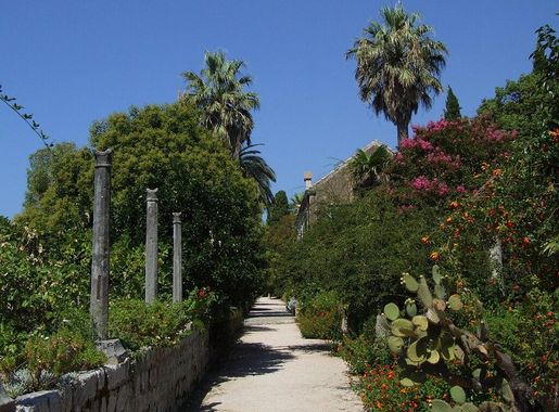 File:Arboretum Trsteno (by Pudelek).JPG - Wikipedia