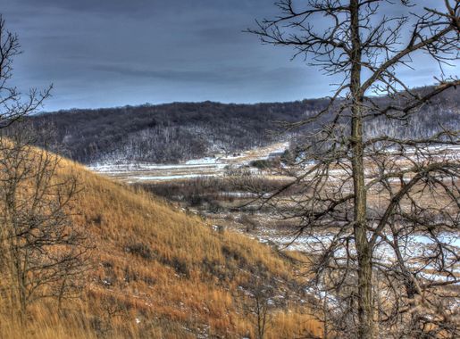 Hillside photo on the Ice Age Trail, Wisconsin image - Free stock photo -  Public Domain photo - CC0 Images