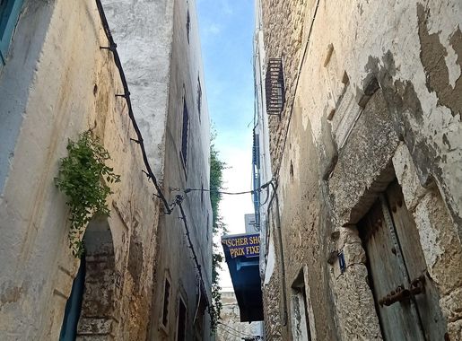 File:Medina of Hammamet, Tunisia.jpg - Wikimedia Commons