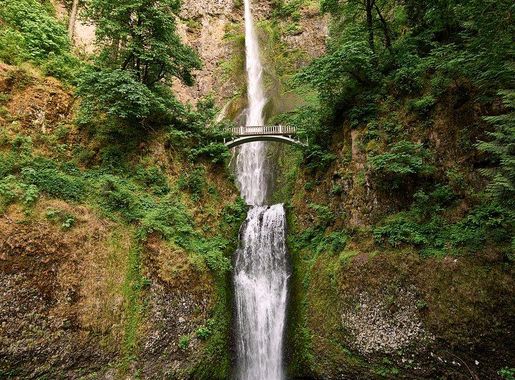 Free Vectors, PNGs, Mockups & Backgrounds | rawpixel