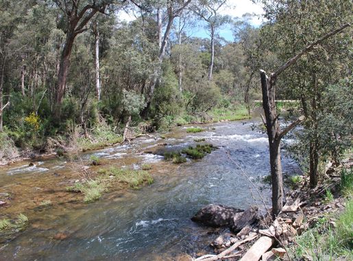 File:Upper Goulburn River 002.JPG - Wikimedia Commons