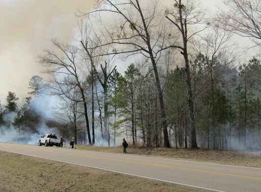 prescribed fires April 2022 - Natchez Trace Parkway (U.S. National Park  Service)