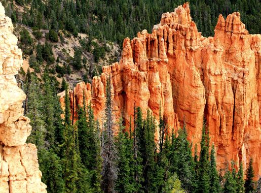 Free Images : landscape, tree, outdoor, rock, walking, sky, sunset, hiking,  photography, desert, travel, formation, cliff, hike, usa, america, tourism,  terrain, national park, geology, outcrop, utah, escarpment, scene, bryce  canyon, hoodoo, connection,
