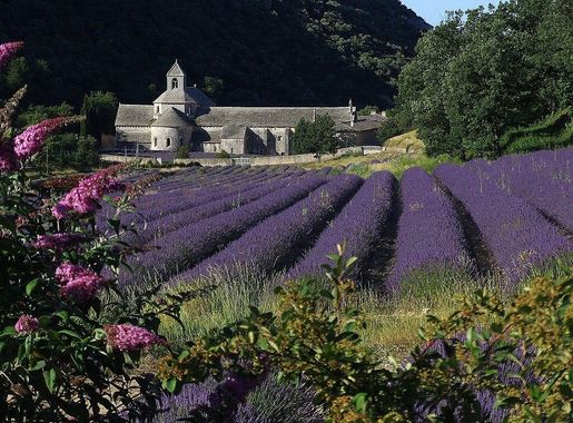 File:Abbaye de Sénanque (Gordes-Vaucluse) vue du Nord.JPG - Wikimedia  Commons