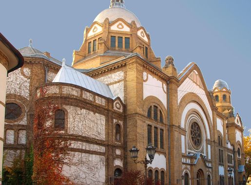 File:Sinagoga u Novom Sadu.JPG - Wikimedia Commons