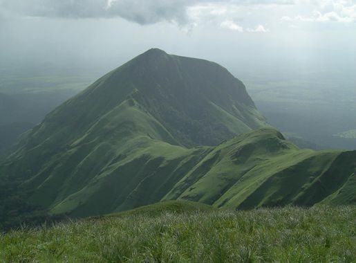 File:Mount Nimba Strict Nature Reserve-108445.jpg - Wikimedia Commons