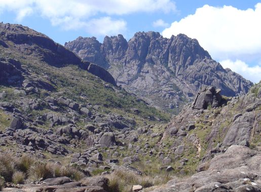 Ficheiro:Agulhasnegras.JPG – Wikipédia, a enciclopédia livre